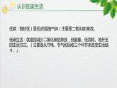 2024-2025学年部编版八年级语文下《倡导低碳生活》综合性学习课件