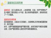 2024-2025学年部编版八年级语文下《倡导低碳生活》综合性学习课件