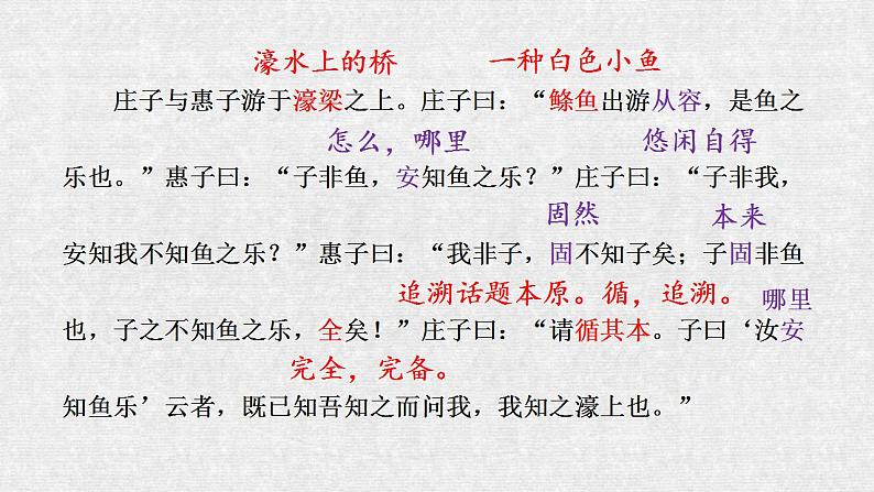 2023-2024学年统编版语文八年级下册第21课《庄子与惠子游于濠梁之上》课件第8页