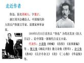 2024-2025学年部编版八年级语文下1.《社戏》课件