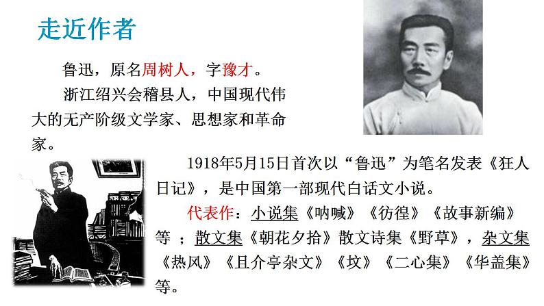 2024-2025学年部编版八年级语文下1.《社戏》课件第4页