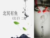 2024-2025学年部编版八年级语文下21.《北冥有鱼》课件