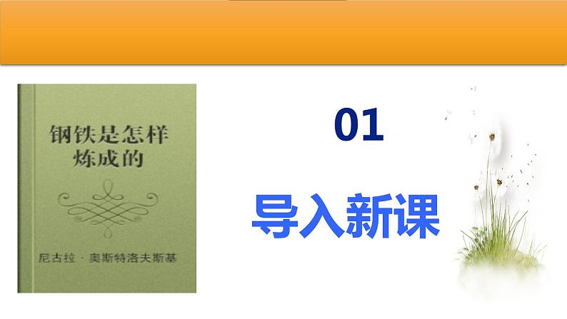 八下语文名著阅读《钢铁是怎样炼成的》同步课件第3页