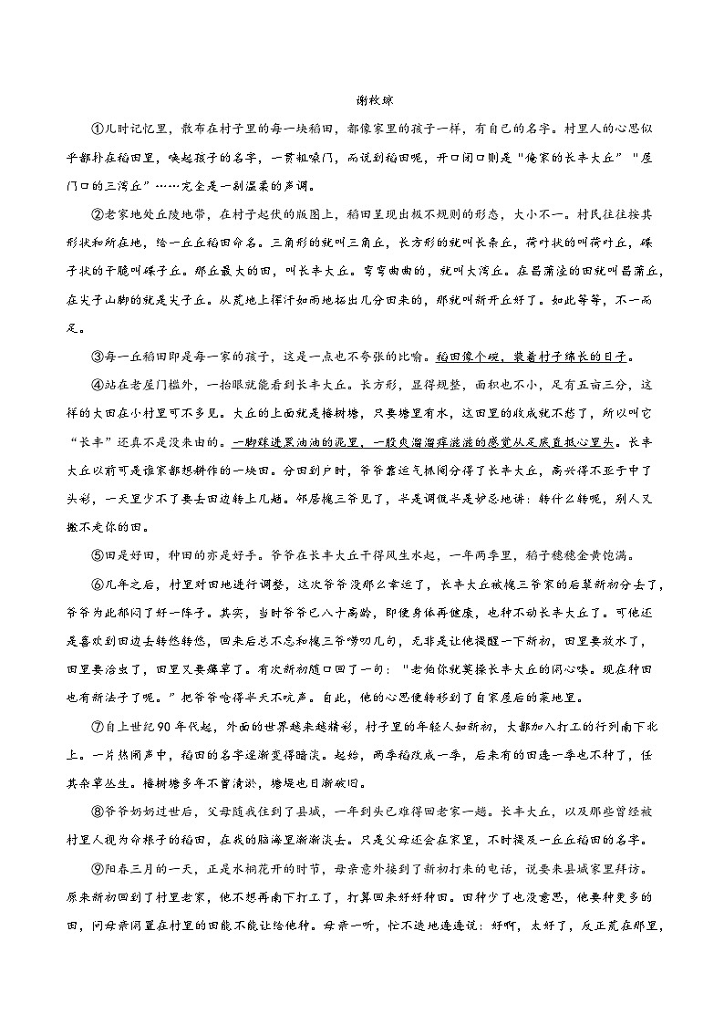 题型06  线索类题型（答题模板）-2024年中考语文答题技巧分类练习_zip02