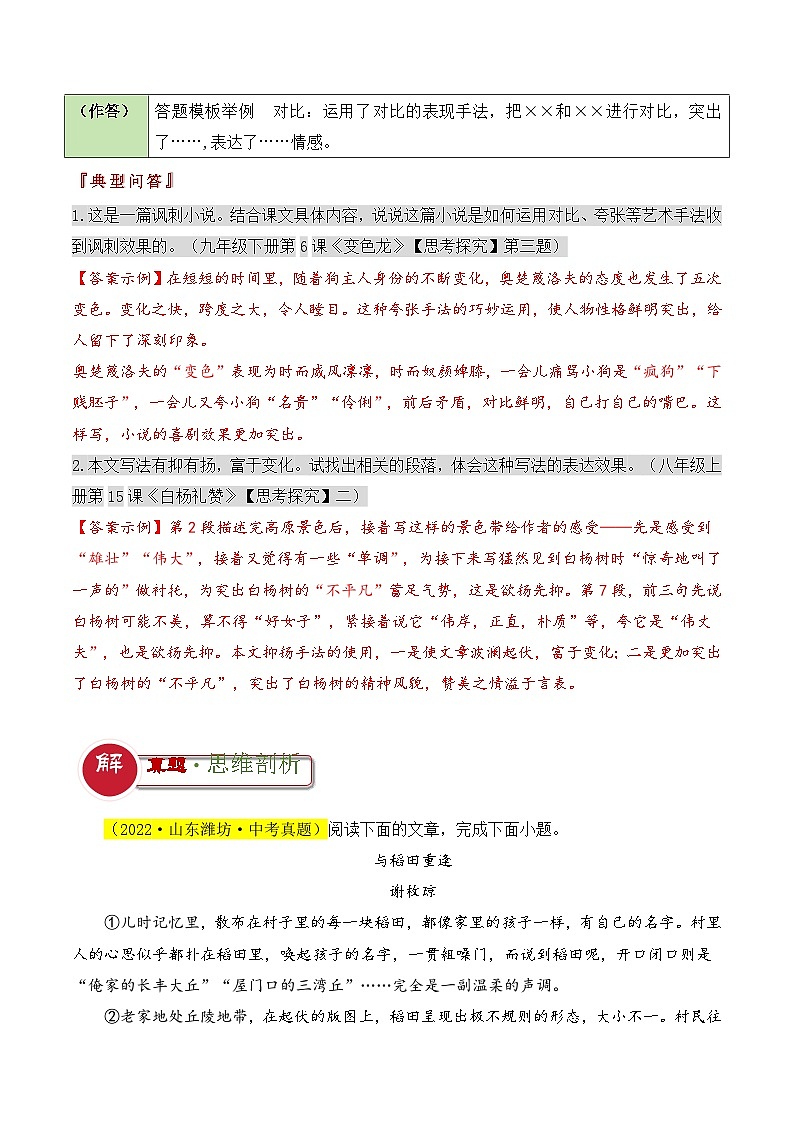 题型09  表现手法类题型（答题模板）-2024年中考语文答题技巧分类训练（解析版）第2页