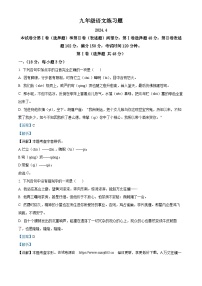14，2024年山东省泰安市岱岳区中考一模语文试题