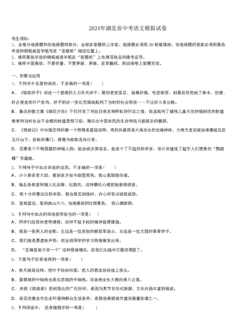 2024年湖北省中考语文模拟试卷（解析版）01