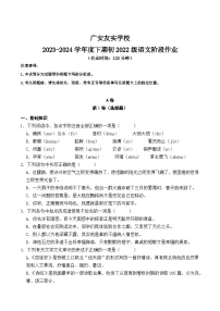 四川省广安市友实学校2023-2024学年八年级下学期期中考试语文试题