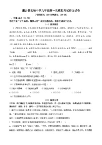 2024年江苏省连云港市灌云县实验中学中考一模语文试题（原卷版+解析版）