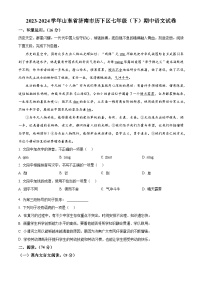 山东省济南市历下区2023-2024学年七年级下学期期中语文试题（原卷版+解析版）