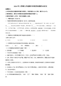 湖南省娄底市涟源市2023-2024学年九年级下学期期中语文试题（原卷版+解析版）