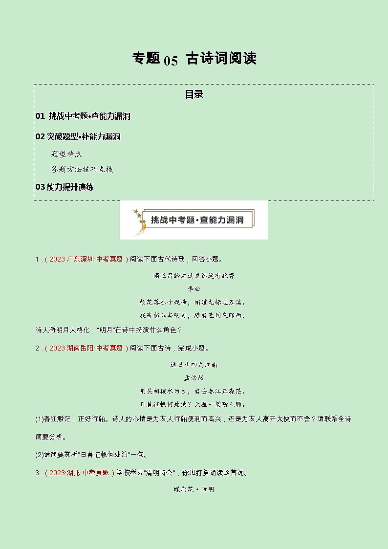 专题05 古诗词阅读（查补能力·提升练）（原卷版）第1页