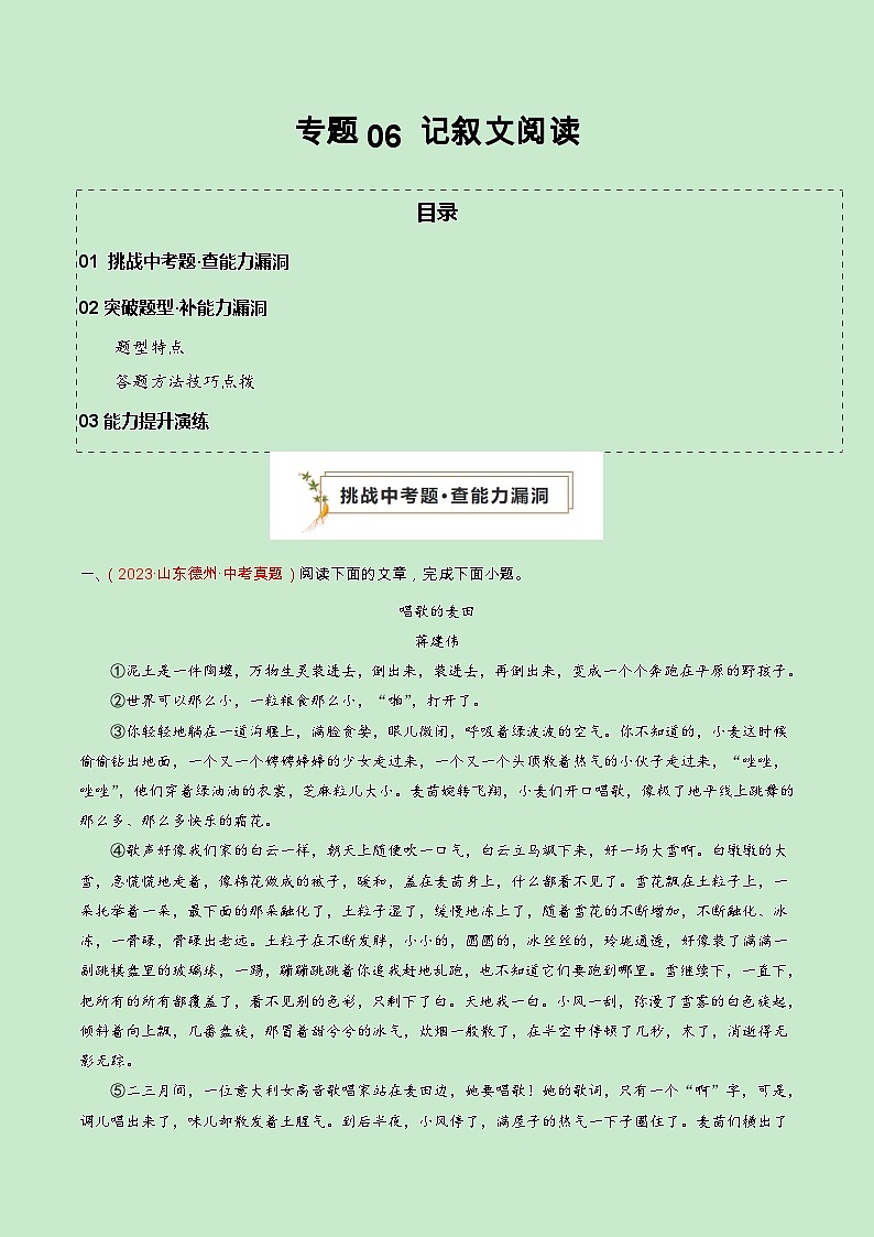 专题07 记叙文阅读（查补能力·提升练）（原卷版）第1页