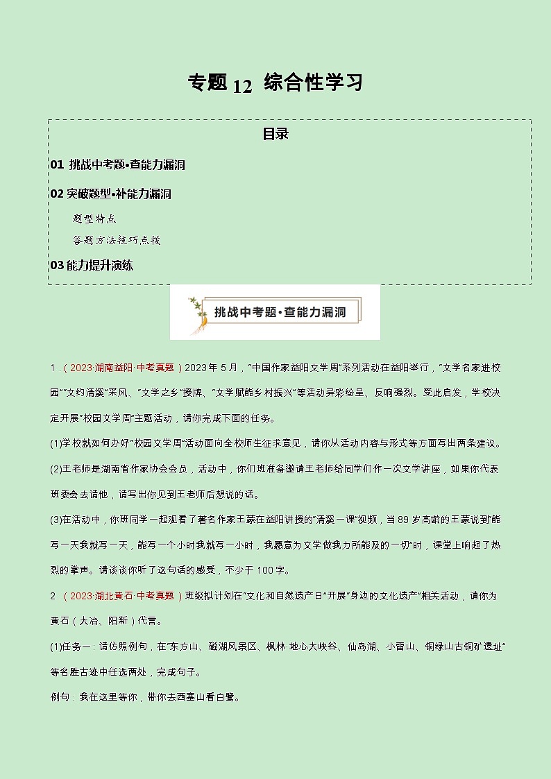 专题12 综合性学习（查补能力·提升练）（原卷版）第1页