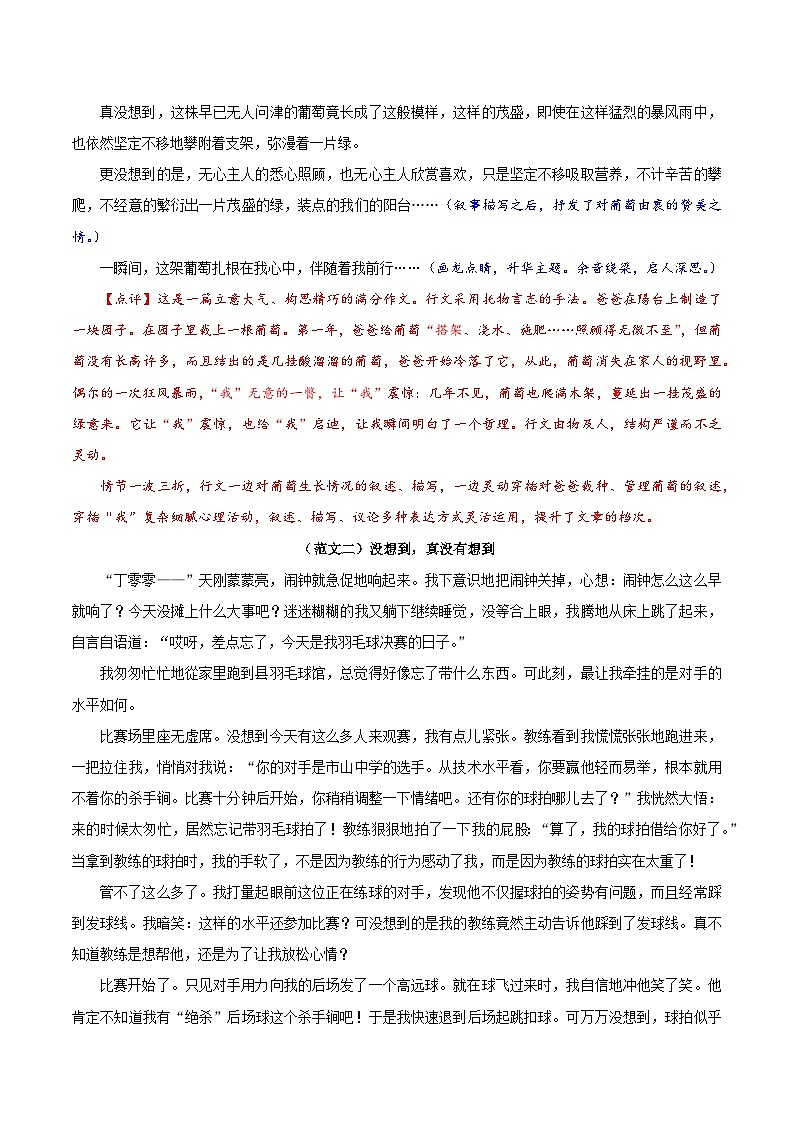 押题11  没想到，真没想到-备战中考语文考场作文押题预测+范文引领第3页