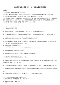 山东省青岛市市南区 2024 年中考语文全真模拟试卷（解析版）