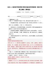 新省中考统考语文模拟卷（三）（湖北卷）2024年新中考地区语文适应性考试模拟卷（新中考地区适用）（解析版）
