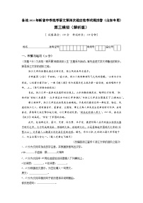 新省中考统考语文模拟卷（三）（山东卷）2024年新中考地区语文适应性考试模拟卷（新中考地区适用）（解析版）