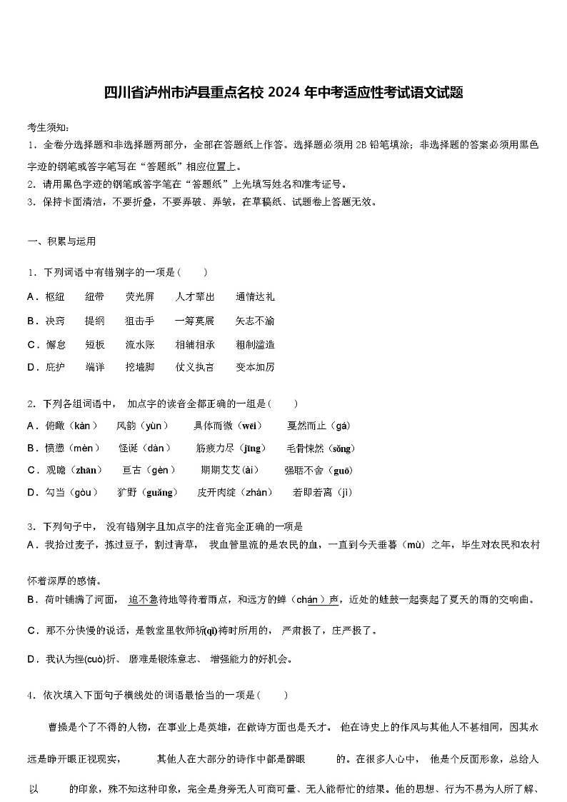 四川省泸州市泸县重点名校 2024 年中考适应性考试语文试题（解析版）第1页