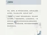 第1课《邓稼先》课件+2023—2024学年统编版语文七年级下册