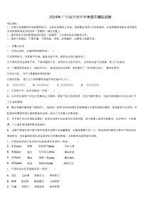 2024年 广东省东莞市中考语文模拟试卷（解析版）