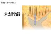 第20课《外国诗二首——未选择的路》课件2023—2024学年统编版语文七年级下册