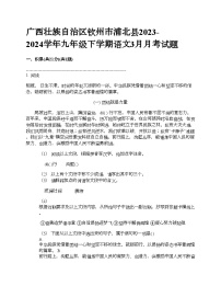 广西壮族自治区钦州市浦北县2023-2024学年九年级下学期语文3月月考试题