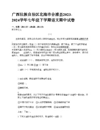 广西壮族自治区北海市合浦县2023-2024学年七年级下学期语文期中试卷