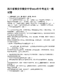 四川省雅安市雅安中学2024年中考语文一模试卷