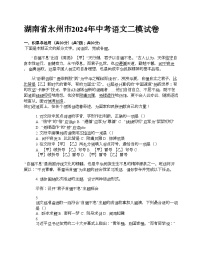 湖南省永州市2024年中考语文二模试卷