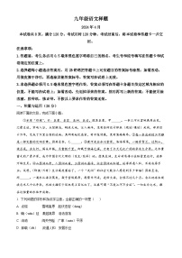 山东省菏泽市定陶区2023-2024学年九年级下学期期中语文试题（原卷版+解析版）