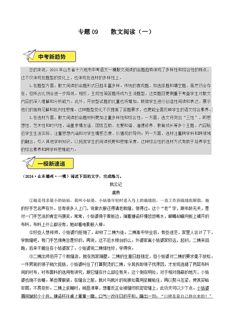 专题09    散文阅读（一）（原卷版）第1页