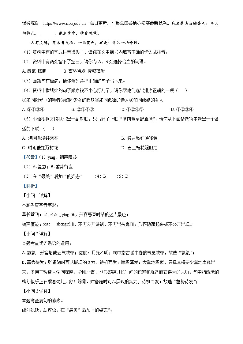 28，江苏省徐州市邳州市2023-2024学年八年级下学期期中语文试题第2页