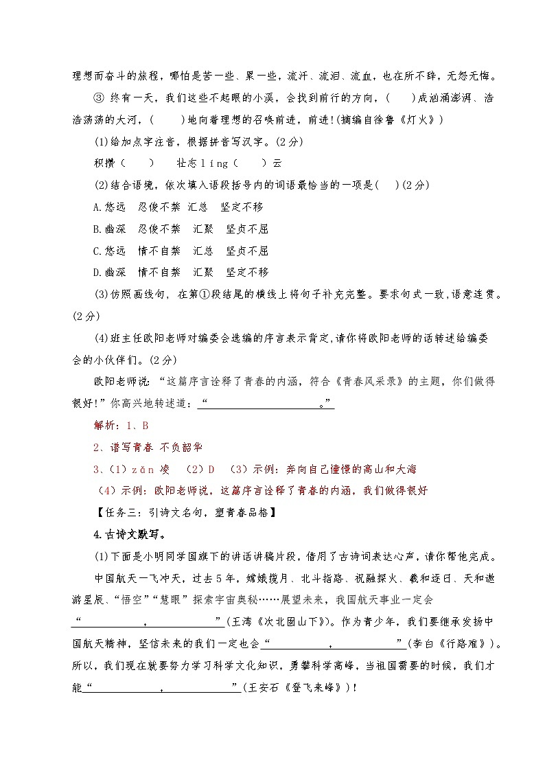 语文（海南卷）（全析版）A4第2页
