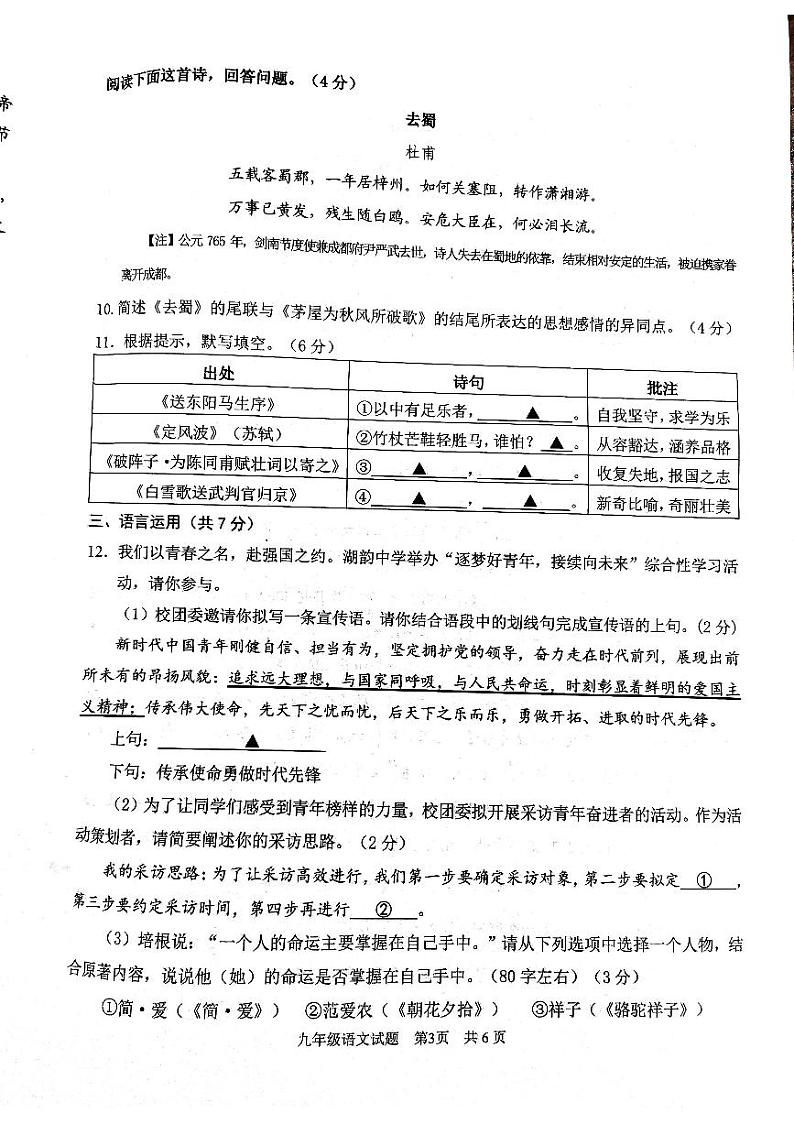 2024年山东省济宁市微山县中考一模语文试题03