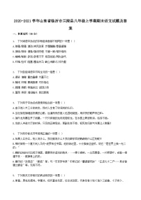 2020-2021学年山东省临沂市兰陵县八年级上学期期末语文试题及答案