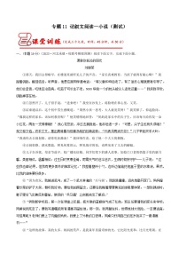 中考语文二轮复习讲练测(全国通用)专题11记叙文阅读——小说(测试)(原卷版+解析)