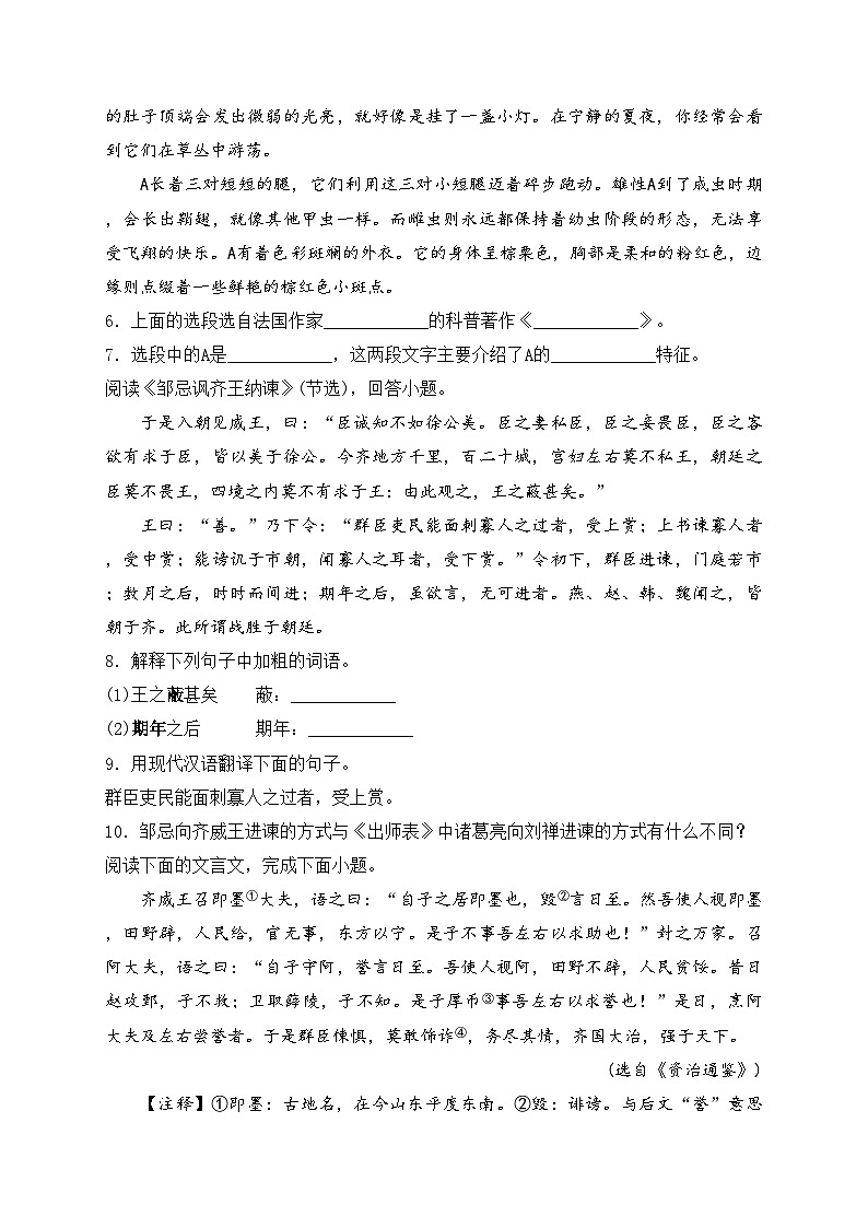 黑龙江省绥化市2024届九年级下学期中考二模语文试卷(含答案)02