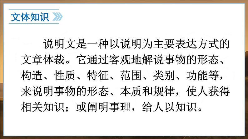 部编语文8年级上册 第5单元 18 中国石拱桥 PPT课件08