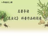 部编语文8年级上册 第5单元 名著导读《昆虫记》 科普作品的阅读 PPT课件