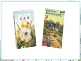 部编语文8年级上册 第5单元 名著导读《昆虫记》 科普作品的阅读 PPT课件