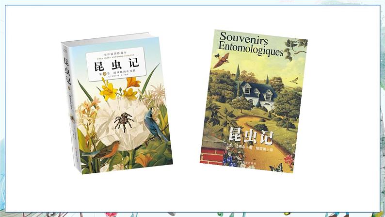 部编语文8年级上册 第5单元 名著导读《昆虫记》 科普作品的阅读 PPT课件02