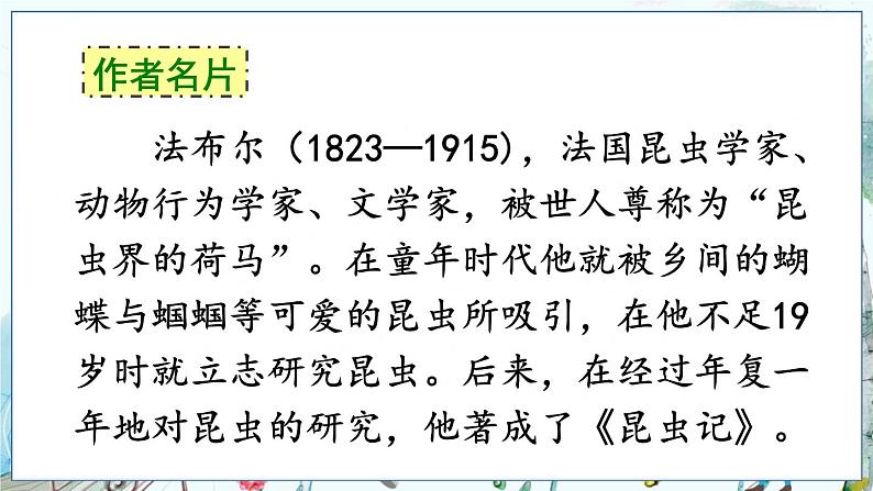 部编语文8年级上册 第5单元 名著导读《昆虫记》 科普作品的阅读 PPT课件04