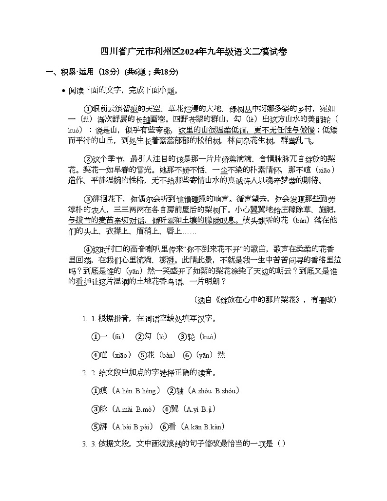 四川省广元市利州区2024年九年级语文二模试卷第1页