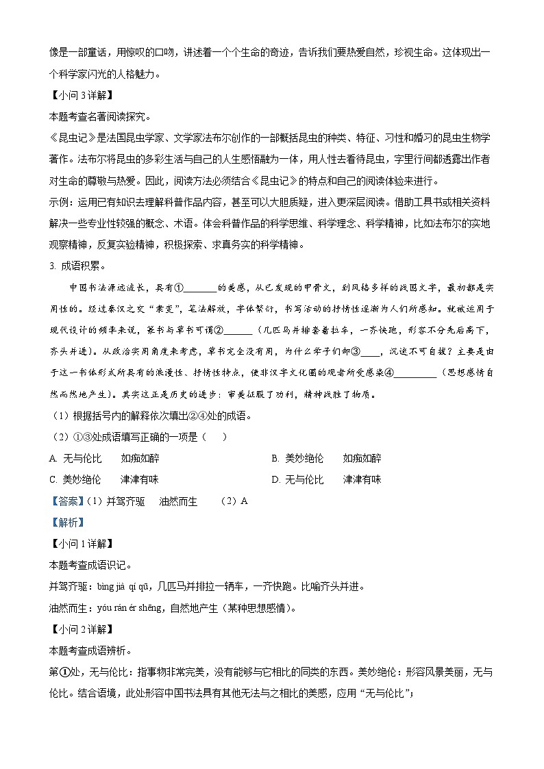 2024年宁夏回族自治区固原市西吉县中考一模语文试题（原卷版+解析版）03