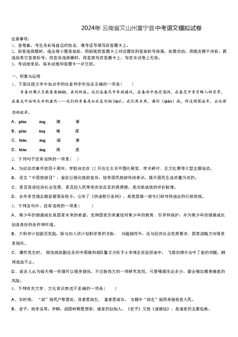 2024年云南省文山州富宁县中考语文模拟试卷（解析版）第1页