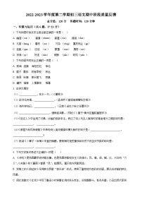 山东省威海荣成市16校联盟（五四制）2023-2024学年八年级下学期期中语文试题（原卷版+解析版）