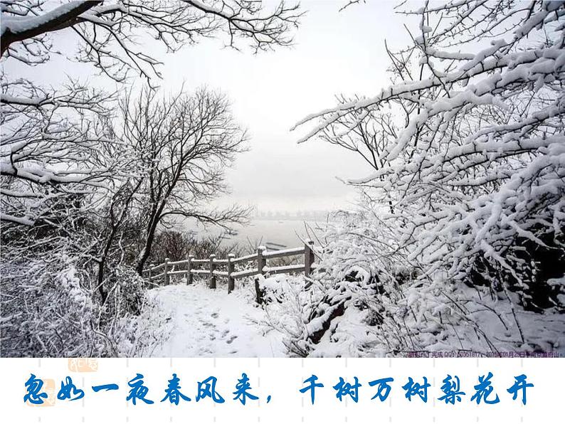 初三复习课语文—中考古诗词鉴赏常见题型及答题技巧(2)课件第3页