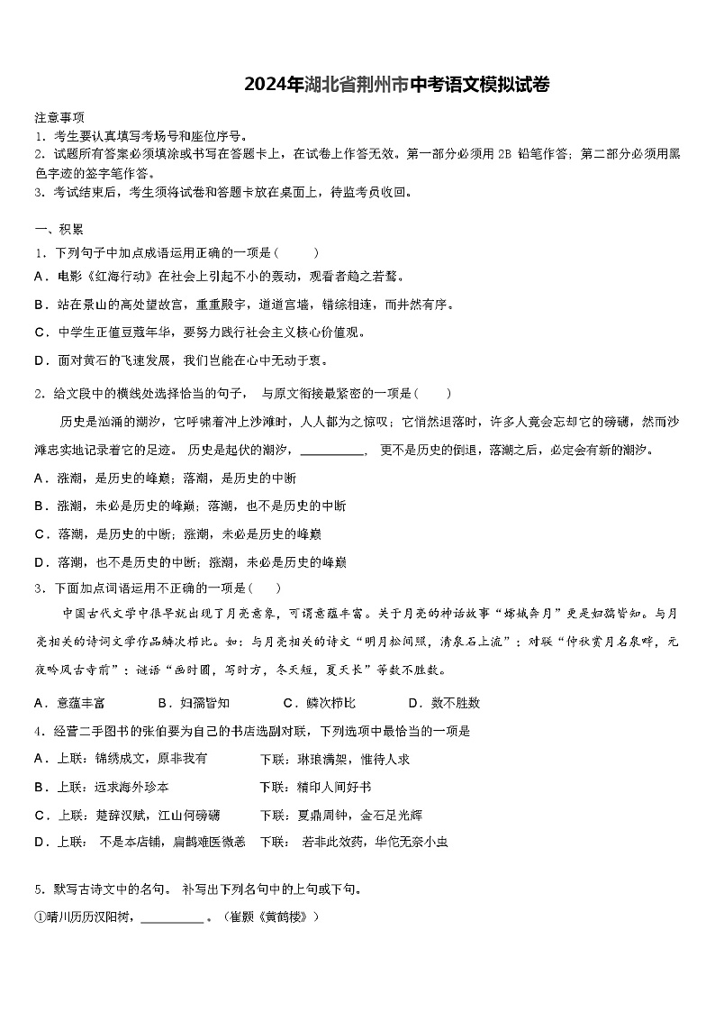 2024年湖北省荆州市中考语文模拟试卷（解析版）01