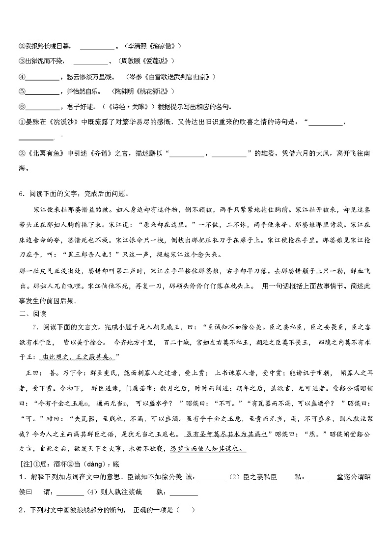 2024年湖北省荆州市中考语文模拟试卷（解析版）02